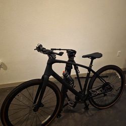 Trek Fx6 Sport Carbon Bicycle