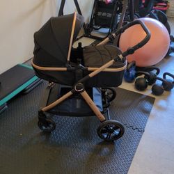 Bassinet Stroller 