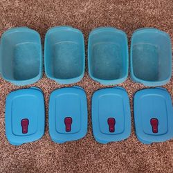 Tupperware Brand Vent and Serve Containers 