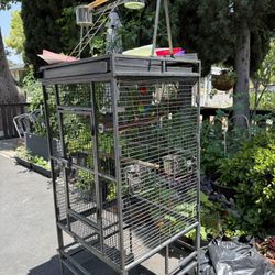 Bird Cage 