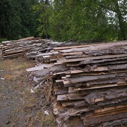 Firewood