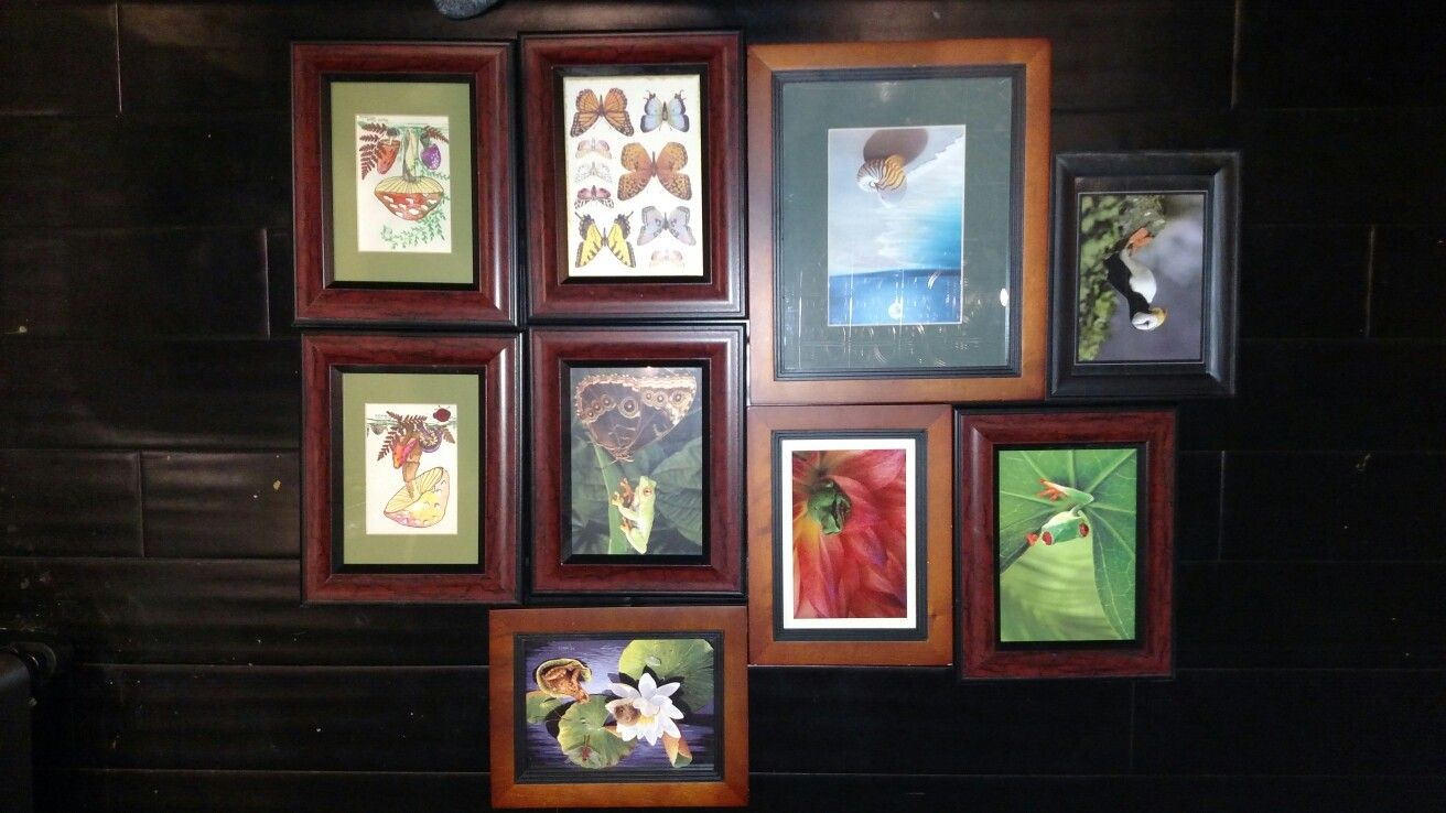 Multi style Photo Frames