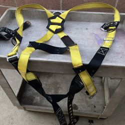 Harness Safety