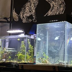 10 Gallon fish tanks For Sale