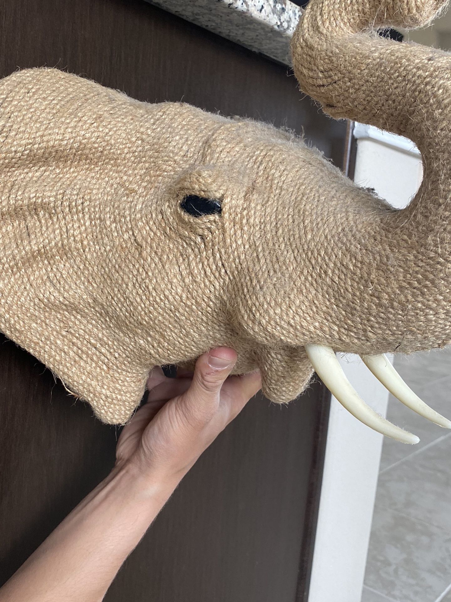 Wall mounted Elephant head