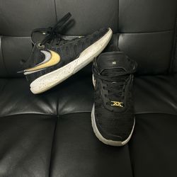 Nike Lebron 20 “Black/Metallic Gold”