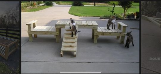 Goat Playground