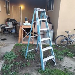 6 Ft Ladder