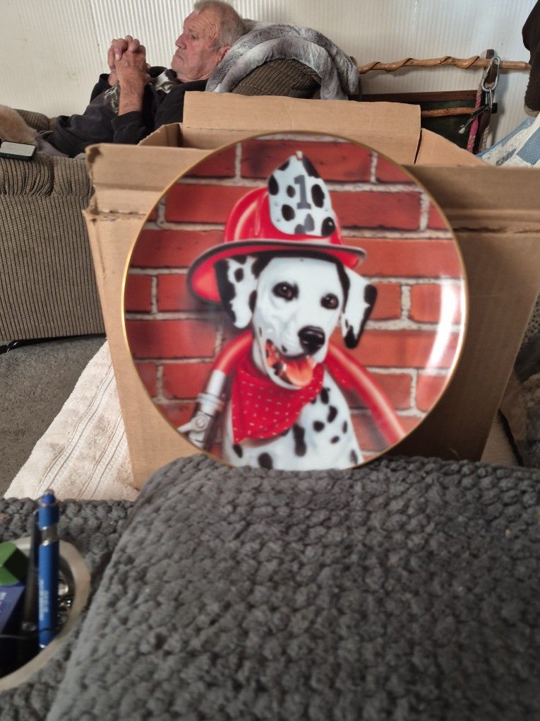 This Is A Collection Plate. The Said On The Back Sparky