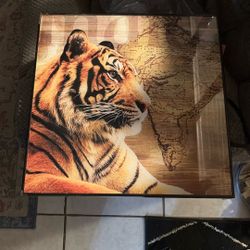 Tiger India Photo Wall Decor New W Tags