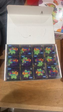 crunchy squishy 12 count