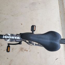 Trek Wahoo! 24' Bike Must Sell Today 350! 