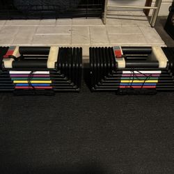 Powerblock Adjustable Dumbbells 5lbs-85lbs