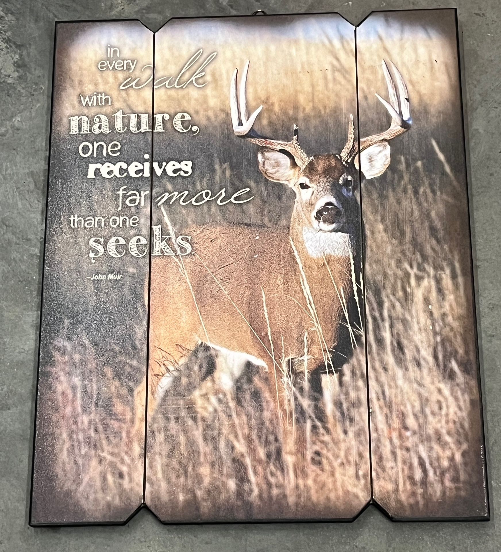 Inspirational Deer Buck Wood Plank Outdoor Decor