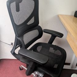 OdinLake L1 (Ergo UPGRADE 518) | Ergonomic Office Chair