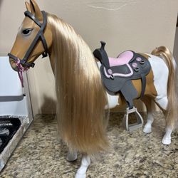 Play horse