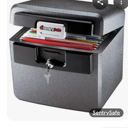 Sentry Safe
