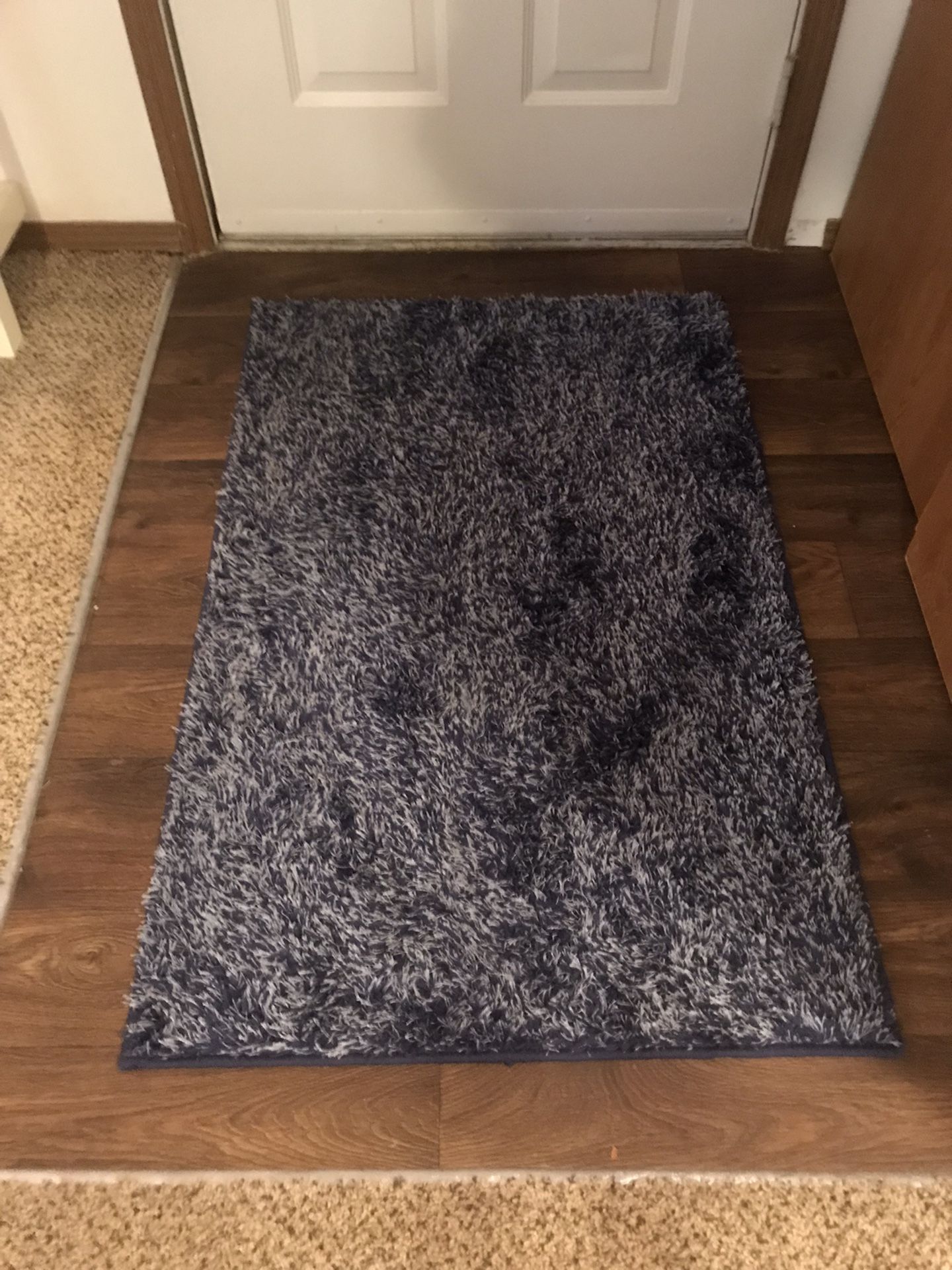 Blue & White Shag Rug