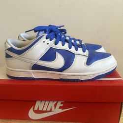 Men Nike Dunk Shoes 