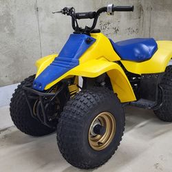 Suzuki QuadSport LT80