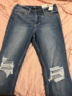 Hollister 
