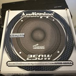 Audiopipe BD2 12’ Subwoofer W/ 1500 Audiopipe Amplifier (6.5” Audiopipe Speakers Included)
