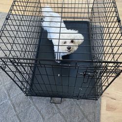 Medium Dog Crate *DOG NOT INCLUDED*