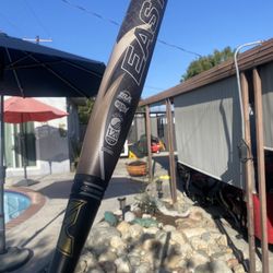 Easton baseball bat