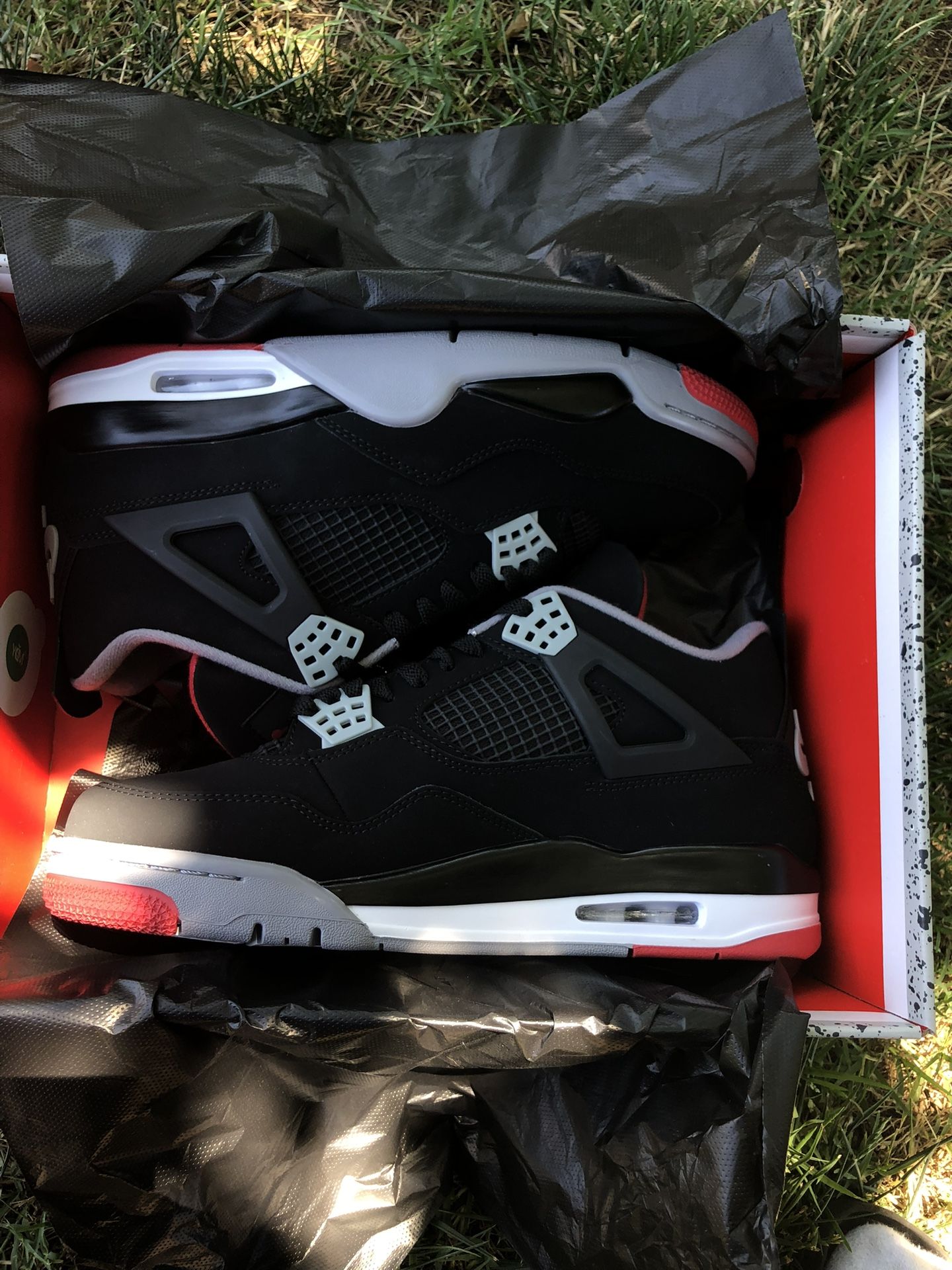 Jordan 4 bred
