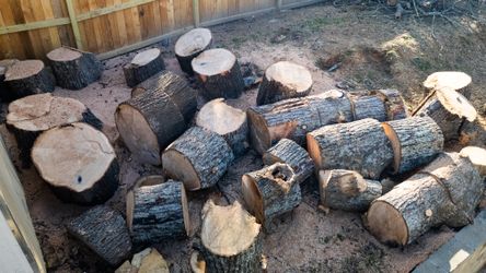 Firewood logs