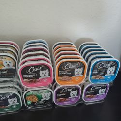 Cesar And Beneful Dog Food