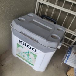 Big Igloo Cooler - Move Out Sale, Cheap!