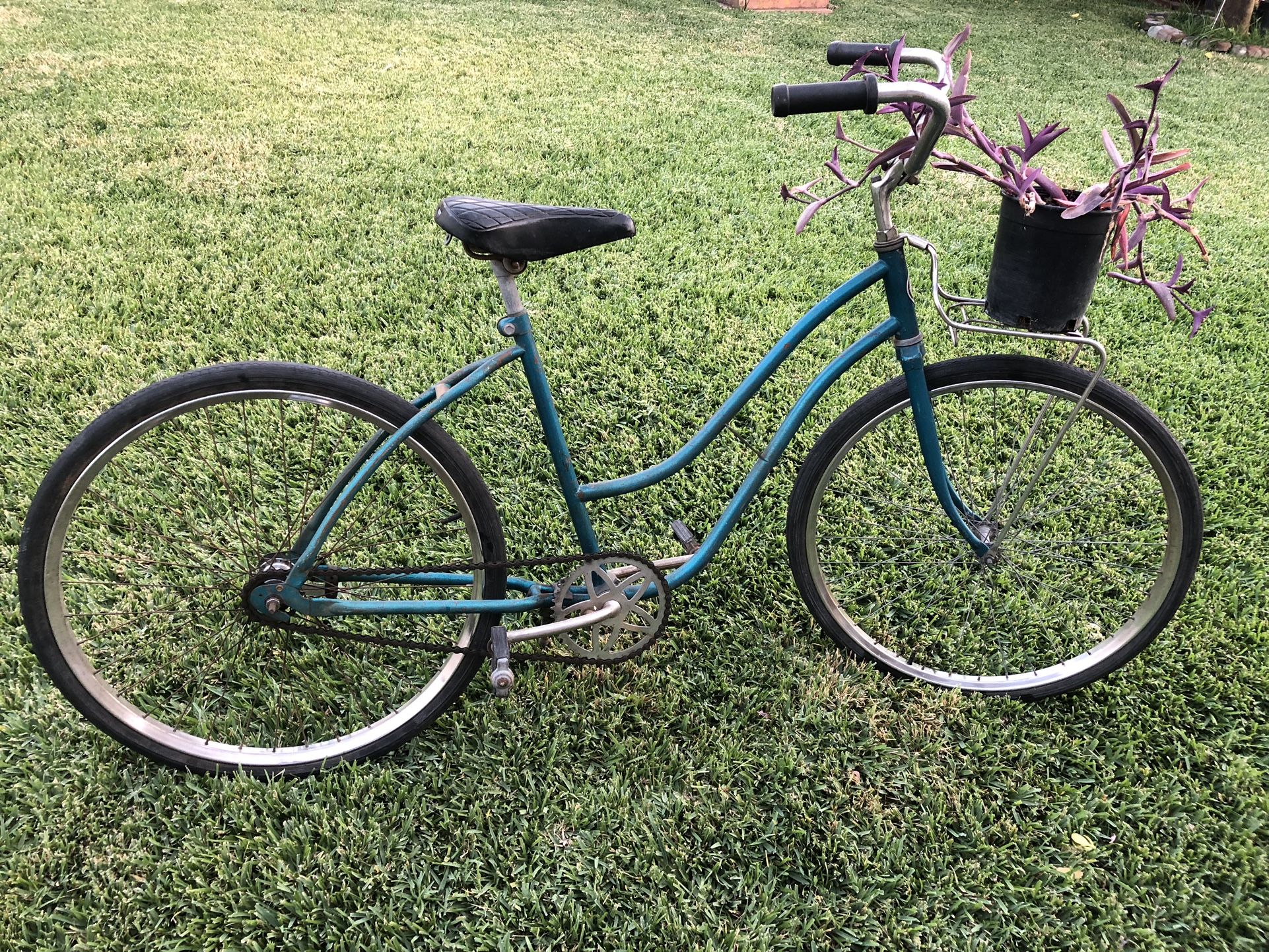 26” Sears Bicycle 