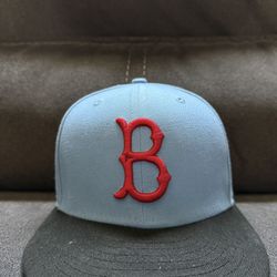 red and baby blue Brooklyn Dodgers hat