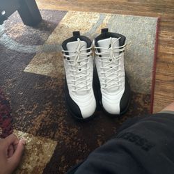 Jordan 12 taxi