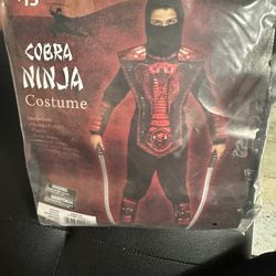 Cobra Ninja 