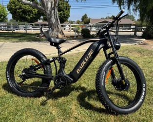 3000W 23Ah Dual Motor Electric Bikes