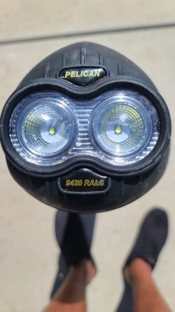 Pelican Light