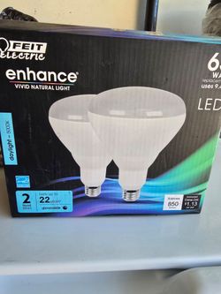 Feit electric enhance vivid natural light