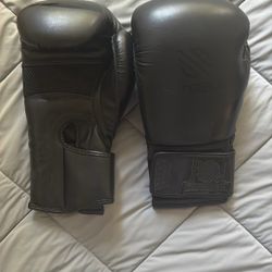 Boxing Gloves Sanabul 