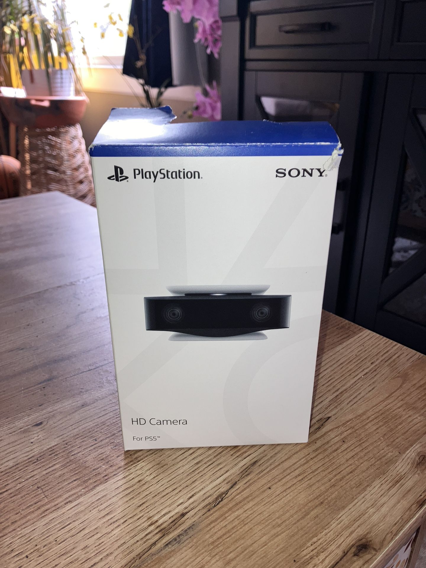 Ps5 Camera