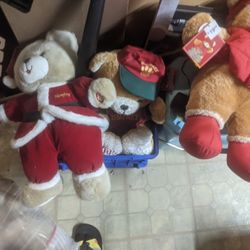 Cherveny Bears - Lot