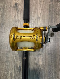 Penn international V  50VSW