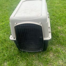 Dog Kennel