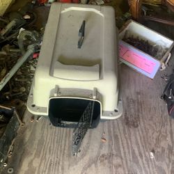 Dog Cage 