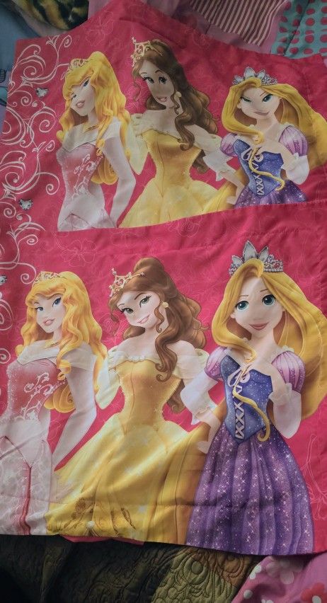 Disney Princess Pair Standard Pillow Shams Pinks Belle Aurora Princesses 
32st & Greenway Cash Firm 