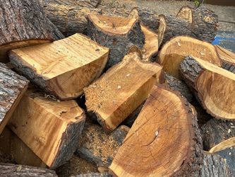 Free Fresh Cut Cedar Wood