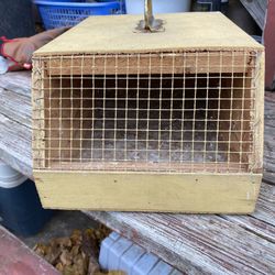 Small Bird Transport 