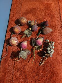 Artificial Sugar Frosted Fruit 