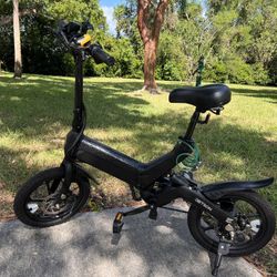 Folding Electric Bike